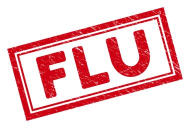 Çift Çerçeveli Grunge Gribi Dikdörtgeni Damgası