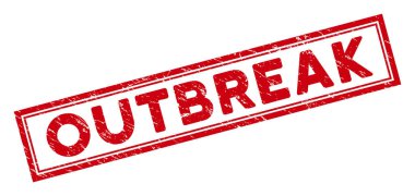 Çift Çerçeveli Kazınmış Salgın Dikdörtgen Mührü