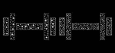 Flaş Noktalı Parlak Ağlı 2d Halter