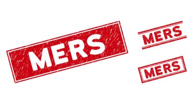 Tehlike Mers Dikdörtgen Mühürleri