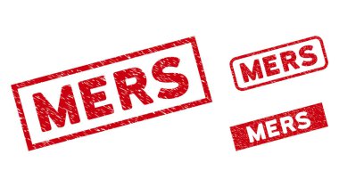 Tehlike Mers Dikdörtgen Mühür Mührü