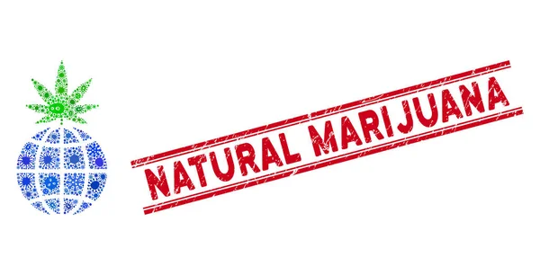 Infektionscollage globales Cannabis-Sprössling-Symbol und zerkratzte natürliche Marihuana-Marke mit Zeilen — Stockvektor