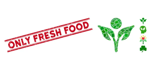 Eco Man Mozaika a Grunge pouze čerstvé potraviny vodoznak s řádky — Stockový vektor