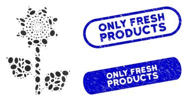 Eliptik Kolaj Ayçiçeği Bitkisi Sadece Taze Ürünler Filigranı