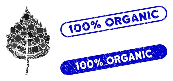 Прямоугольный коллаж Березовый лист с текстурированными 100% органическими уплотнениями — стоковый вектор