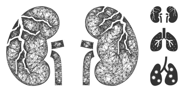 Illustration polygonale de maille de vecteur de Web de cancer de reins — Image vectorielle