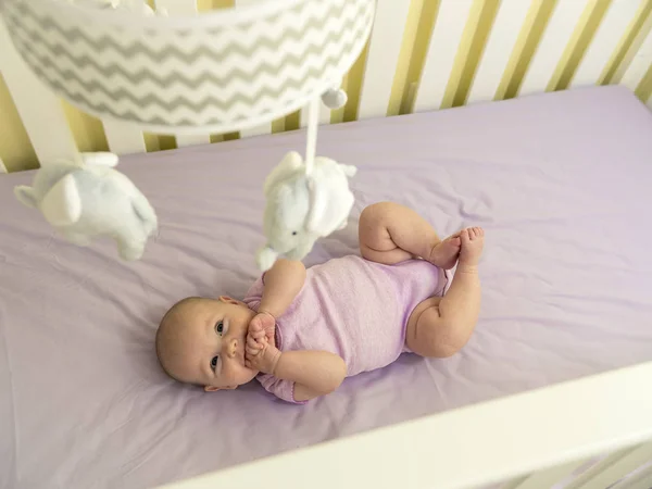 Sevimli bebek bebek mor fil Mobile'da yukarı seyir beşik
