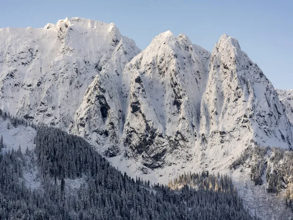 Incroyables pics pointus détaillés de l'indice du mont couvert de neige hivernale avec fond de ciel bleu — Photo