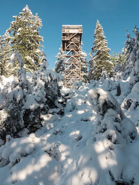 Looking Up at Tall Heybrook Mountain Lookout in Pacific Northwest — Stock Photo, Image