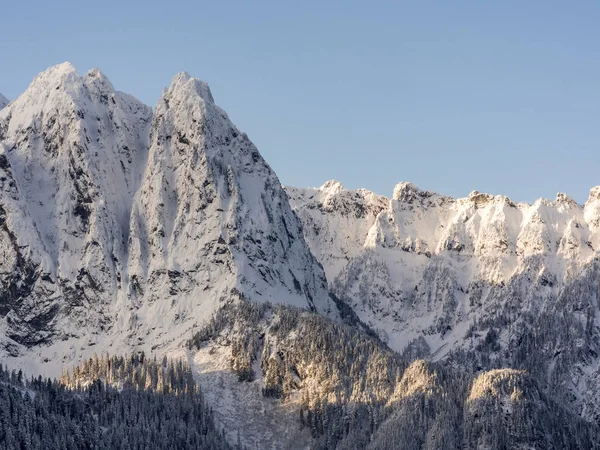 Picos irregulares cubiertos de nieve con fondo azul del cielo en la cordillera North Cascade — Foto de Stock