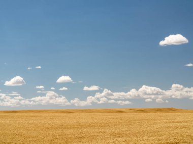 Bulutlar ve mavi gökyüzü güneşli gün Tarım Çiftlik arka planda
