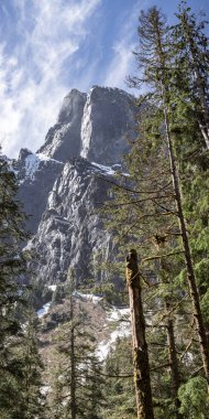 Uzun boylu dağ kadar yükselerek arkasında Pacific Northwest Orman ağaçları