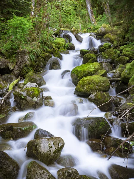 Bright Green Mossy Forest with Flowing Stream Water from Long-Ex — Stock Photo, Image