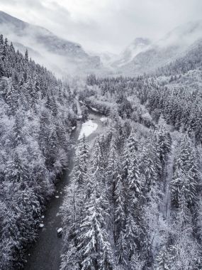 Soğuk kış orman ağaçlarında tarafından sarma Nehri ile havadan görünümü