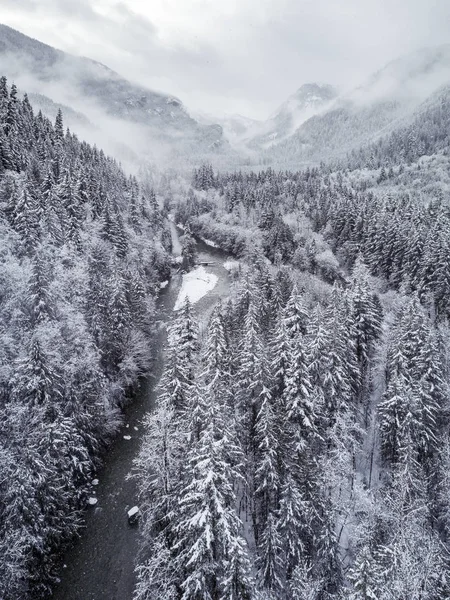 Soğuk kış orman ağaçlarında tarafından sarma Nehri ile havadan görünümü