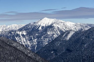 Pasifik Kuzeybatı Karlı Tr 'nin üst üste binen dağ ormanları.