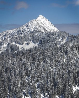 Washington Dağ Zirvesi Mavi Gök Kış Günü