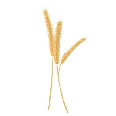 Buğday sivri, vektör.