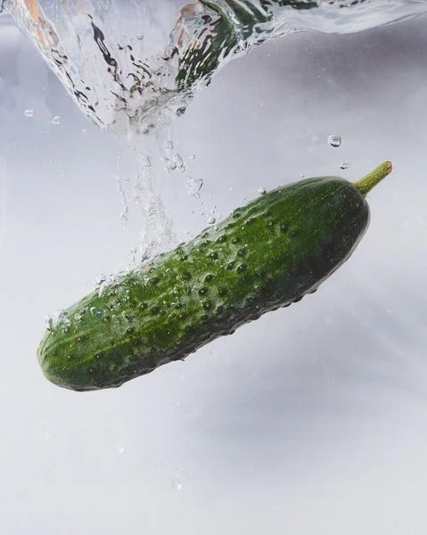 cucumber in water on a white background