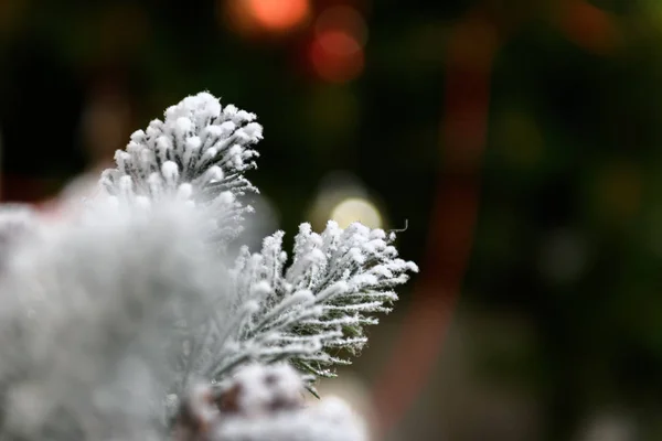 Tło wakacje zima szyszki w proszku z Sztuczny śnieg i biały szal puchaty. Merry Christmas brązowe tło — Zdjęcie stockowe