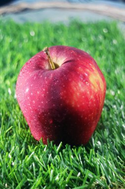 Yeşil çimenlerin üzerinde bir Kırmızı elma