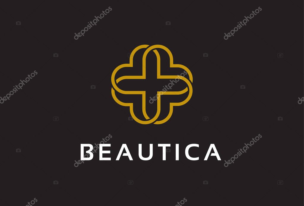 Abstract Monogram Plus Logo Template Design Vector, Emblem, Design Concept, Creative Symbol, Icon