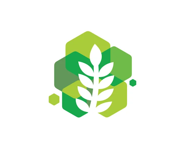 Agricultura Logo Template Design Vector, Emblema, Concepto de diseño, Símbolo creativo, Icono — Vector de stock