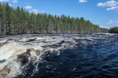 Bir su seli ovadan aşağı akıyor.