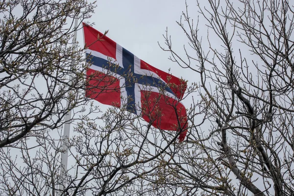 Bandeira da Noruega entre as árvores — Fotografia de Stock