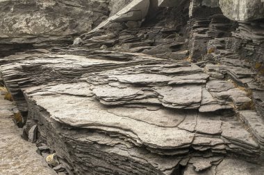 Deniz kıyısı buzlu