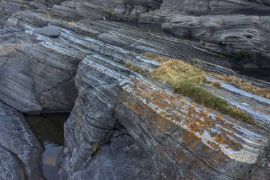 Deniz kıyısı buzlu