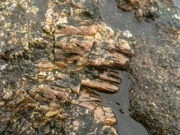 Les rochers au bord de la mer — Photo