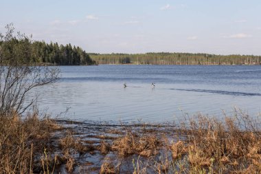 Kuzey Kutbu 'ndaki soğuk göl.