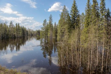 Kuzey Kutbu 'ndaki soğuk göl.