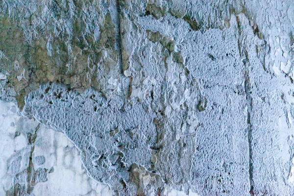 El viejo fondo de la pared de cemento —  Fotos de Stock