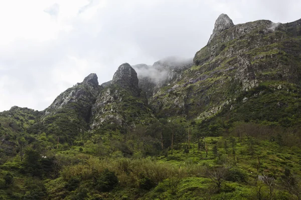 Montañas de alta precipitación en Madeira en Portugal —  Fotos de Stock
