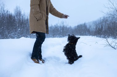 Şirin köpek efendisine bir emir veriyor.