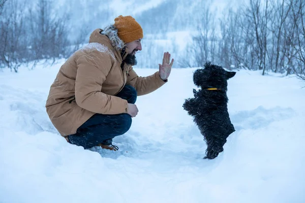 Şirin köpek efendisine bir emir veriyor.
