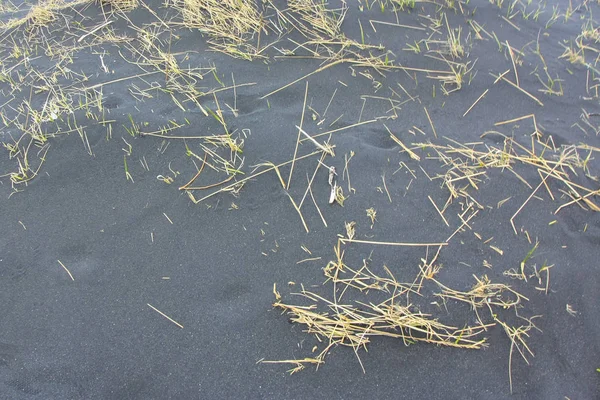 The texture of the black sand beach in Iceland — 스톡 사진