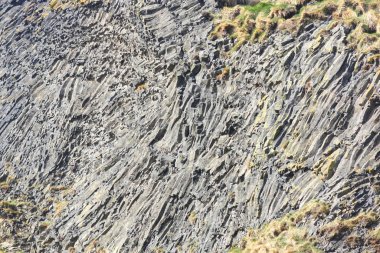 İzlanda 'daki bazalt mağarasının dokusu yakın plan.