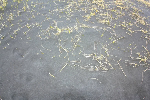 The texture of the black sand beach in Iceland — 스톡 사진