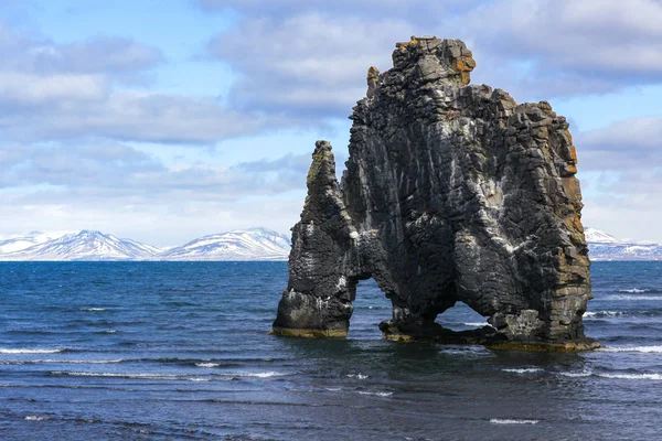 Hvitserkur troll rock basalt stack στην Ισλανδία — Φωτογραφία Αρχείου
