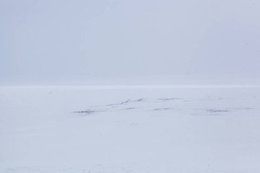 Kopyalama alanı olan kar dokusu arkaplanı 