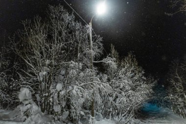 Gece karanlığında fenerlerle aydınlatılmış sokak lambaları Park 'ta