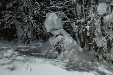 Gece karanlığında fenerlerle aydınlatılmış sokak lambaları Park 'ta