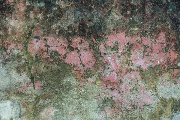Egy régi beton textúrája, mohával. Kreatív háttér — Stock Fotó