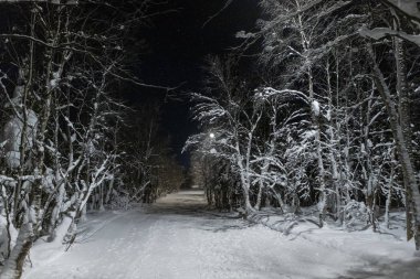 Gece karanlığında fenerlerle aydınlatılmış sokak lambaları Park 'ta