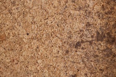 Balsa ağacının doku arkaplanı