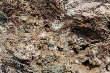 Taş dokusu ve arka plan. Kaya mineralinin eşsiz dokusu