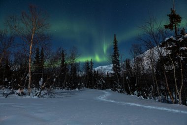 Kuzey Kutbu 'nun yeşil ışıkları Aurora Borealis' in kışın Finlandiya ve Laponya 'daki faaliyetleri